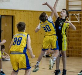 IMG-20250210-WA0008