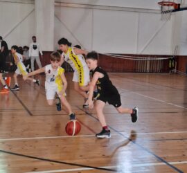 IMG-20250310-WA0011
